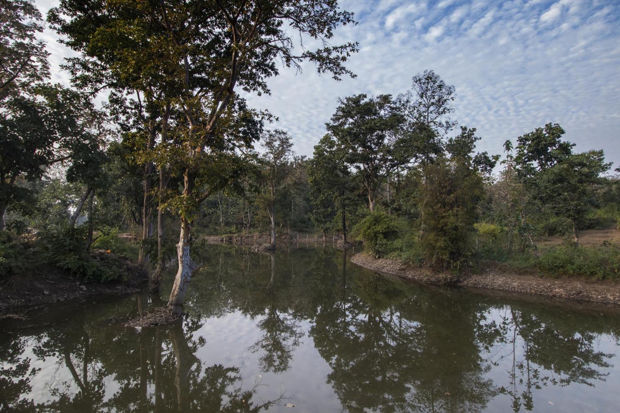 Wowstayz Pachmarhi Ecotel 외부 사진